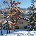 Dina * Wisla